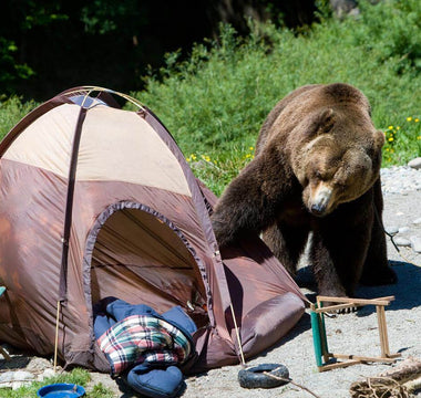 Anti-Bear Camping Setup Tips - ExplorerBear