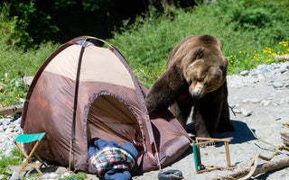Anti-Bear Camping Setup Tips - ExplorerBear